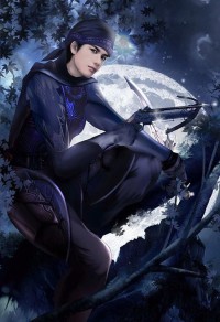 洛水夜流